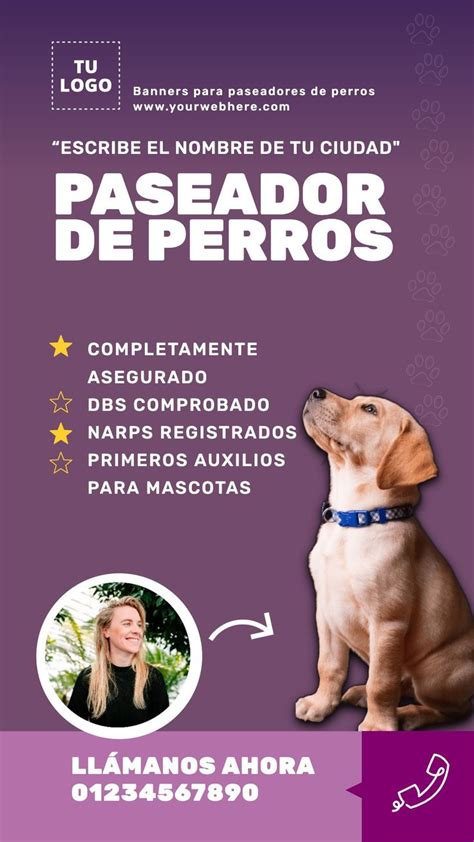 paseador de perros getafe|Servicio de Paseo de perros en Getafe